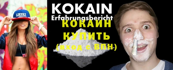 спиды Новодвинск