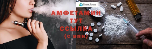 спиды Новодвинск