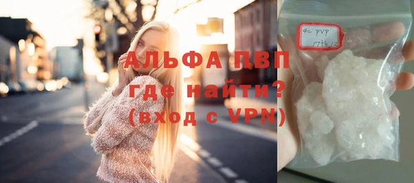 спиды Новодвинск