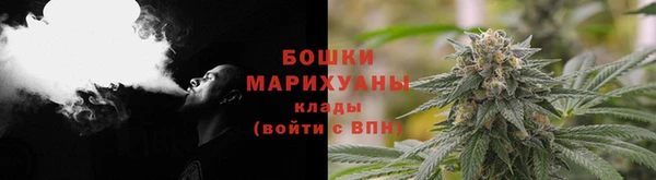 спиды Новодвинск