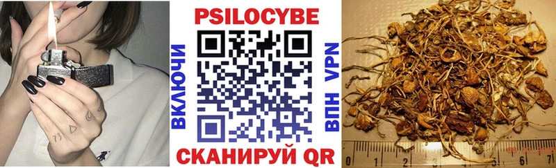Псилоцибиновые грибы ЛСД Исилькуль